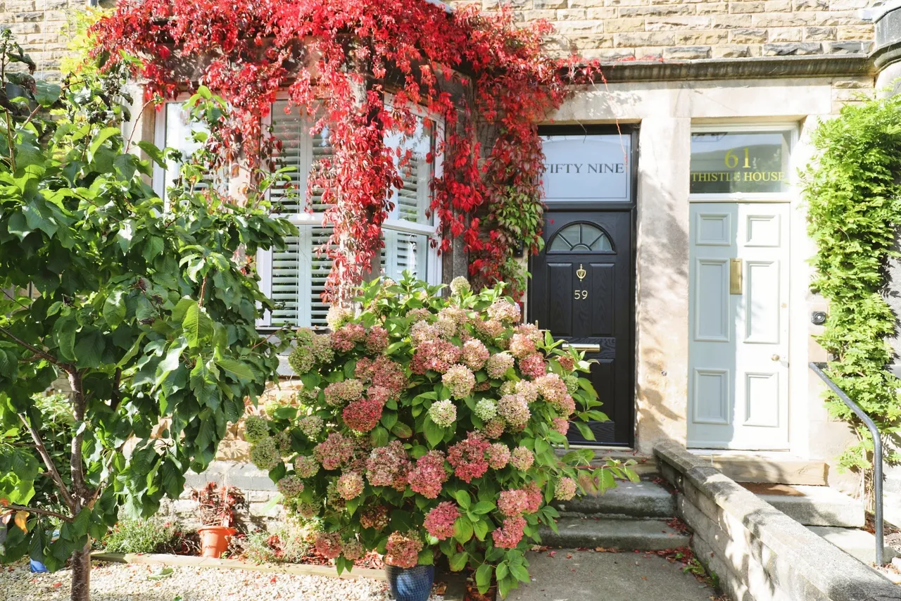 Dragon Avenue, Harrogate, HG1, photo 6