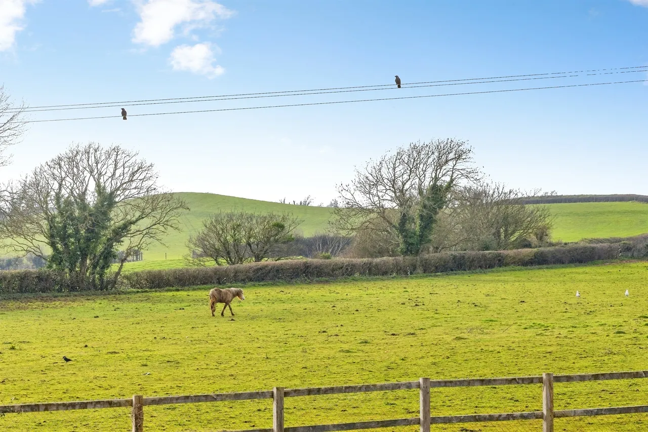 Quarry Close, Shipton Gorge, DT6, photo 12