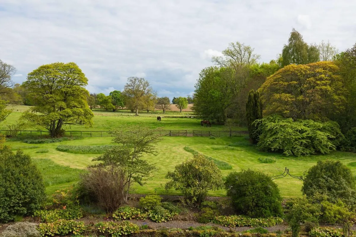 Jedburgh, TD8, photo 26