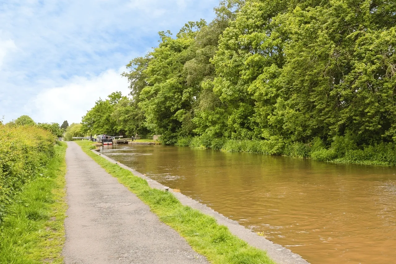 Troopers Close, Christleton, CH3, photo 14