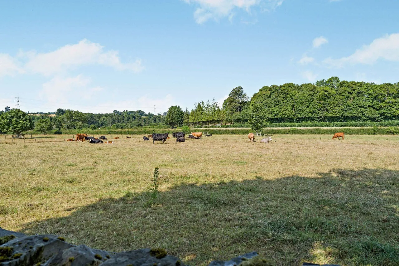 Cumledge Mill House, Duns, TD11, photo 43