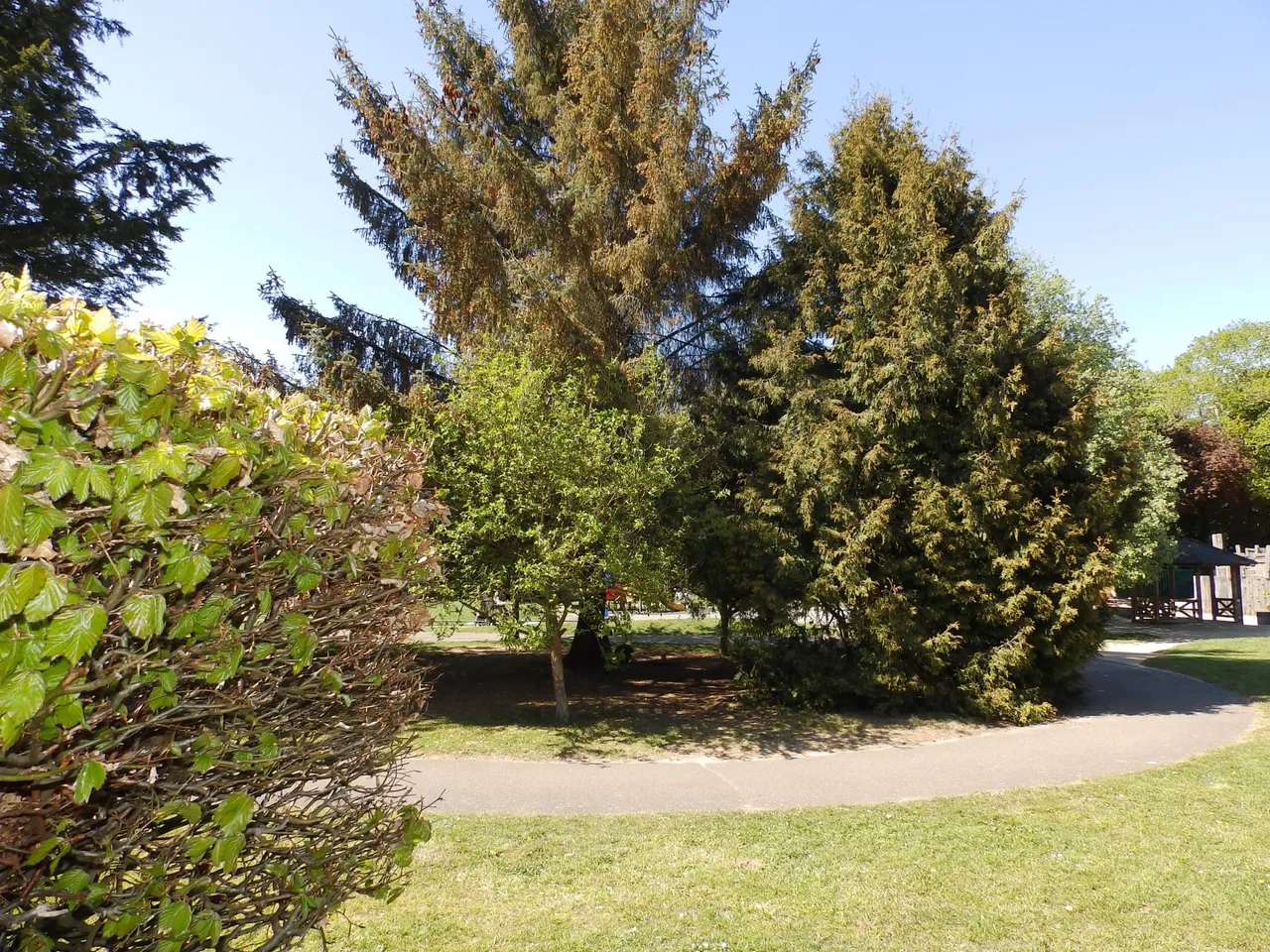 Silverdale Road, Tunbridge Wells, TN4, photo 4