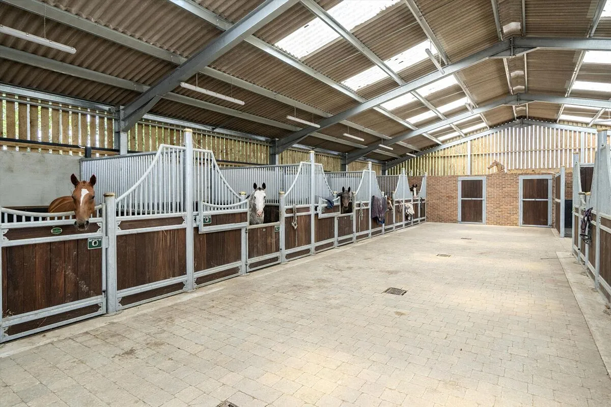 Hollom Down, Lopcombe, SP5, photo 16