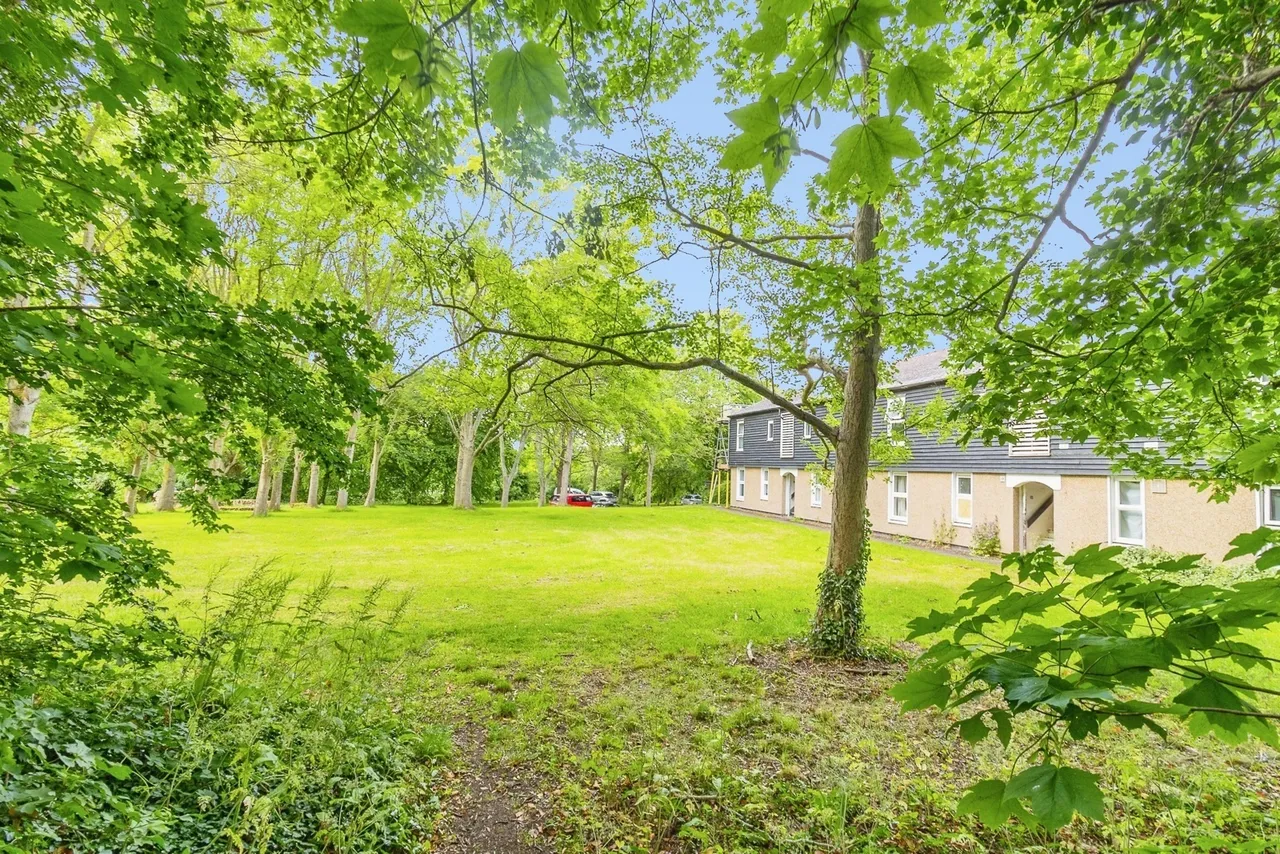 Campion, Great Linford, Milton Keynes, Buckinghamshire, MK14, photo 20