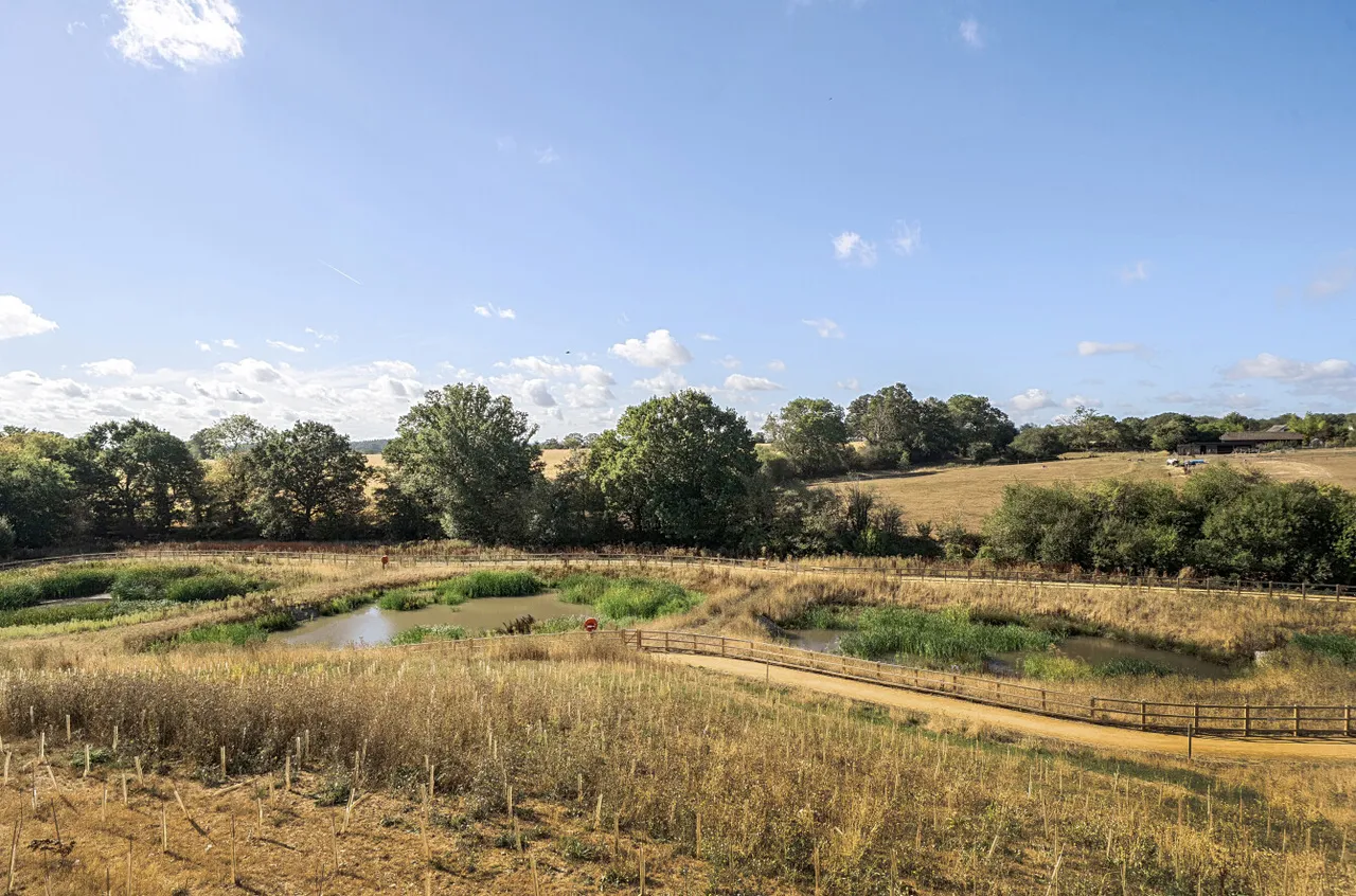 Shepherds Ridge, Mortimer Common, Reading, Berkshire, RG7 3WF, photo 33