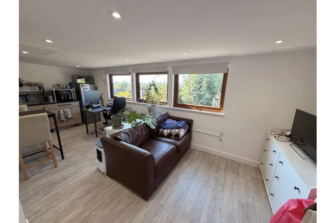 Peartree Avenue, Southampton, SO19, photo 41
