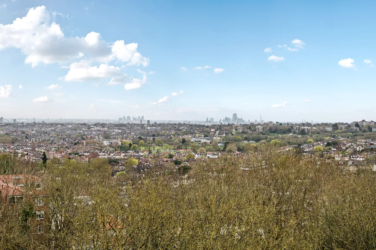 Muswell Hill, London, N10, photo 12
