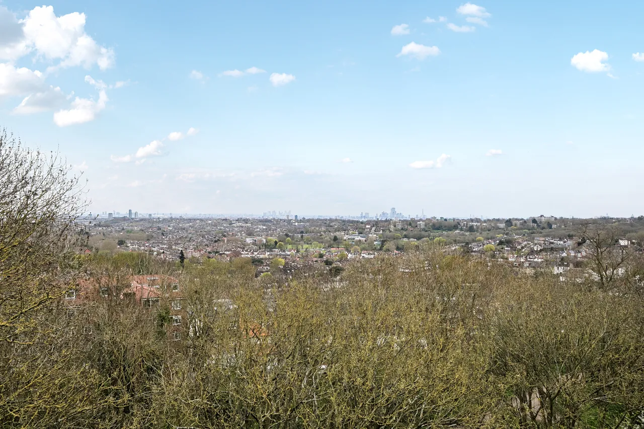 Muswell Hill, London, N10, photo 11