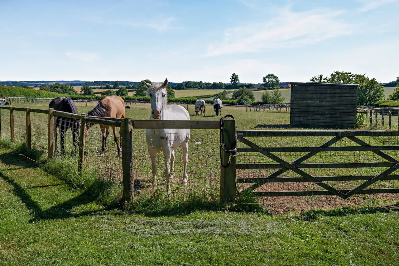 Elmdown, Ramsbury, Marlborough, Wiltshire, SN8 2HL, photo 4