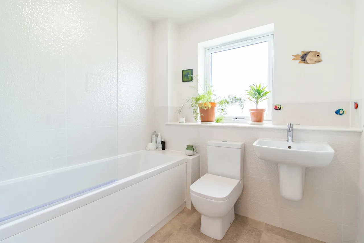 Adam Christie Avenue, Montrose, DD10, photo 21