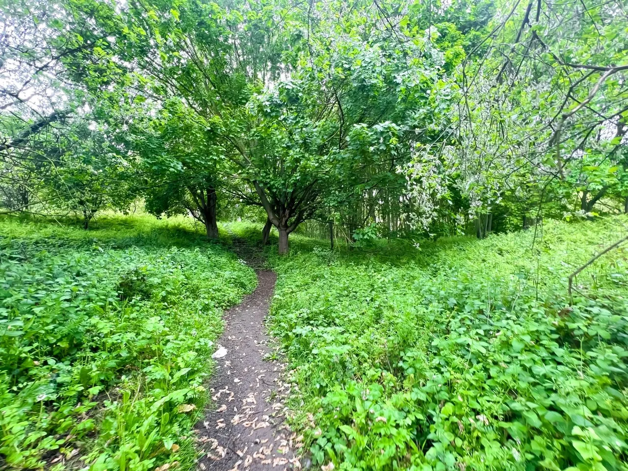 Mill Lane, Skinningrove, TS13, photo 8