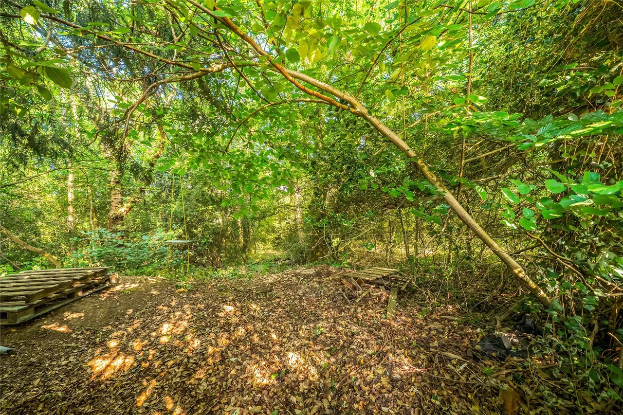 Paynesfield Road, Westerham, Kent, TN16, photo 18