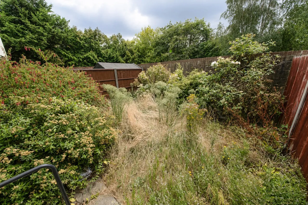 Birchwood Drive, Lightwater, GU18, photo 12