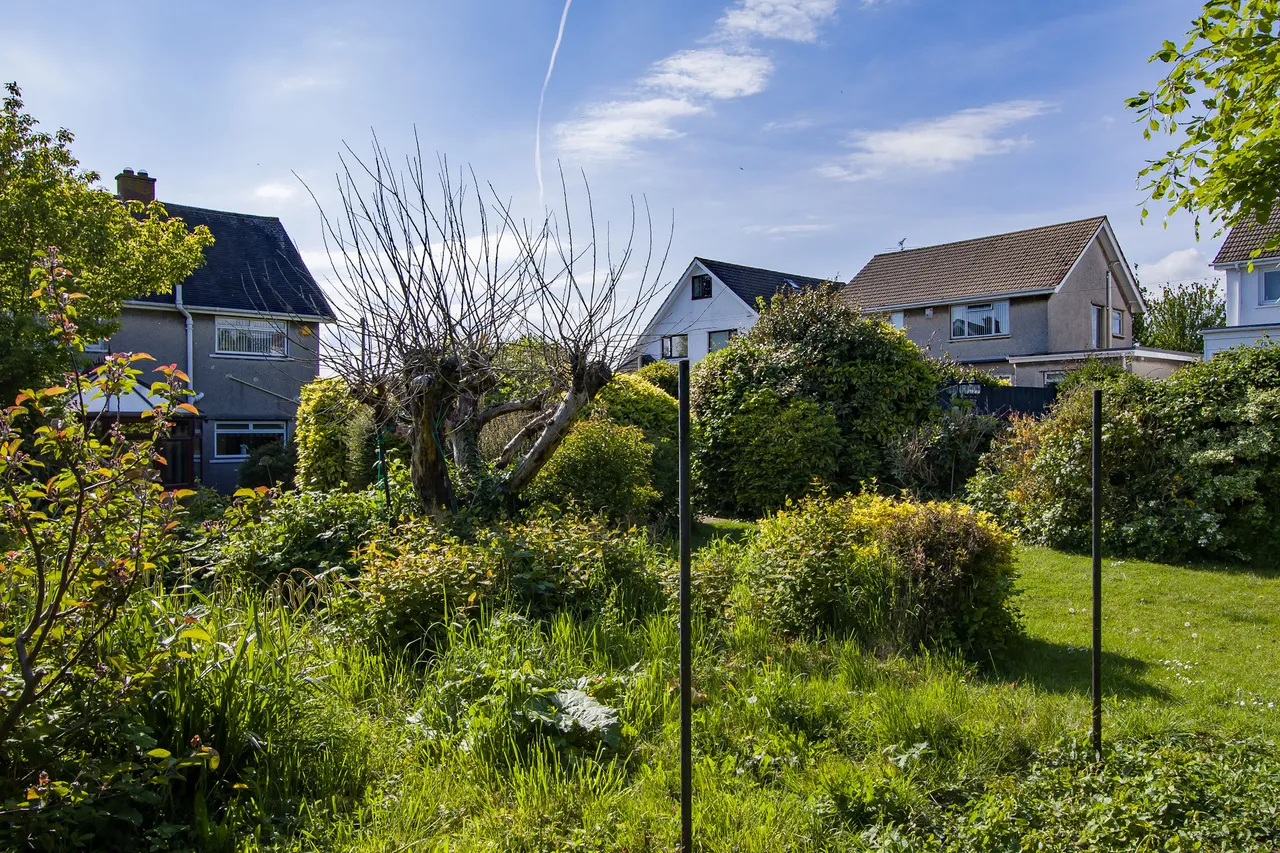 Db, photo 22