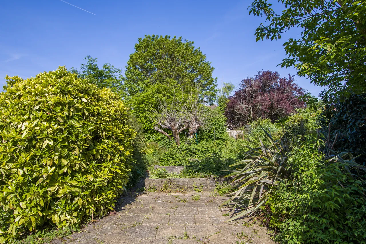 Db, photo 19