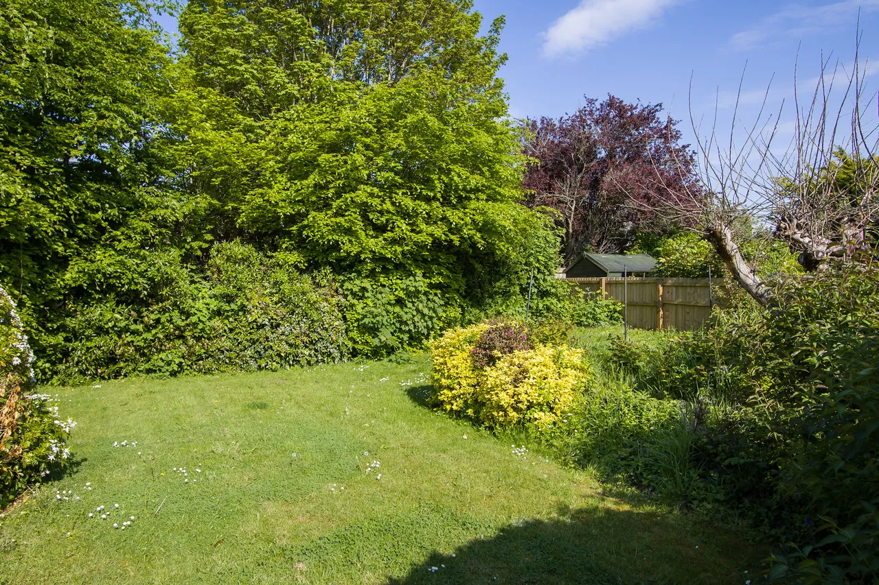 Db, photo 21