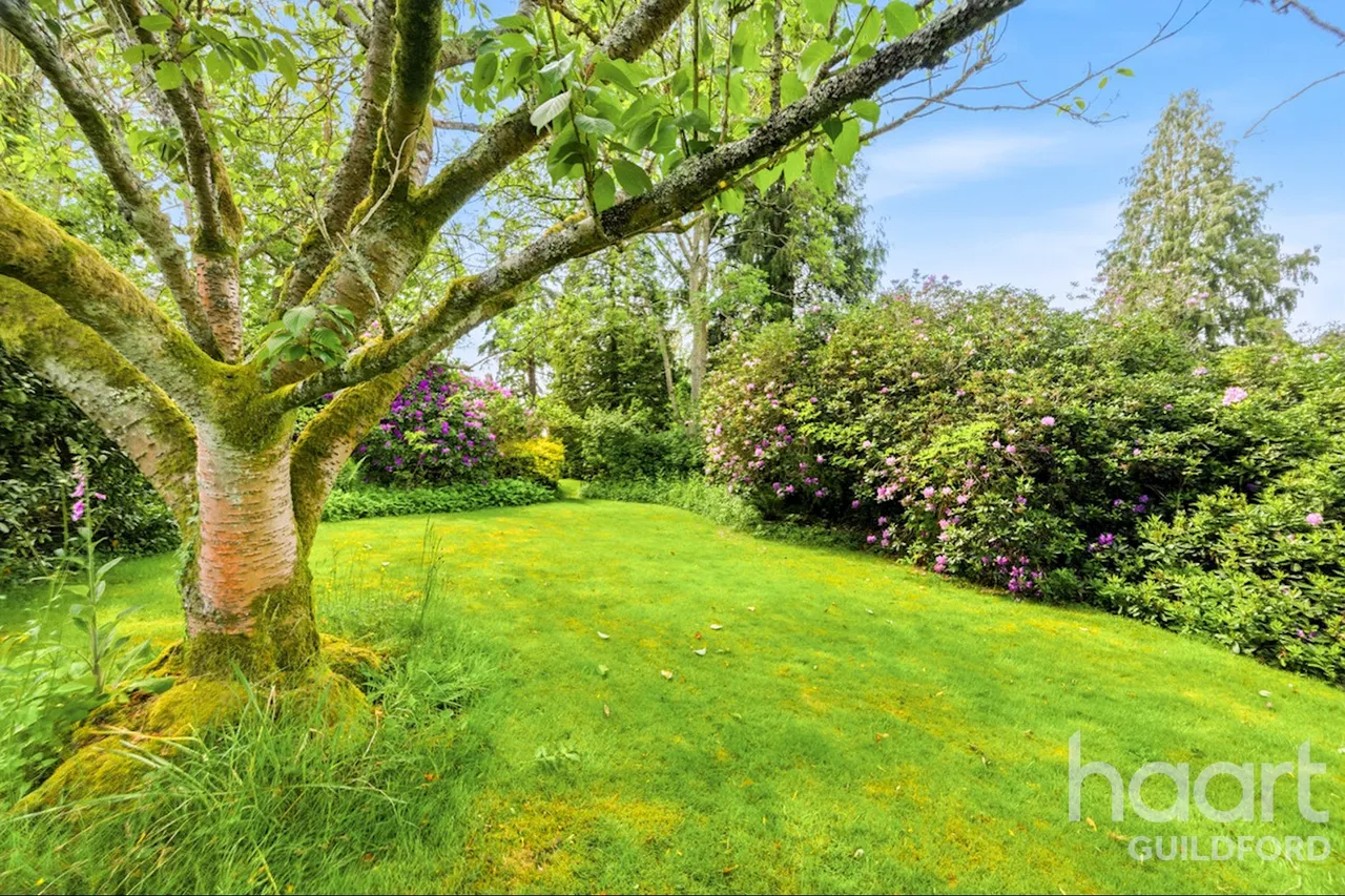 Westwood Lane, Guildford, GU3, photo 8