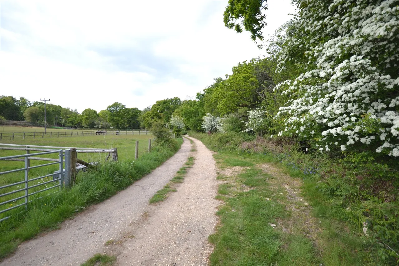 Shirley Holms, Lymington, Hampshire, SO41 8NL, photo 9