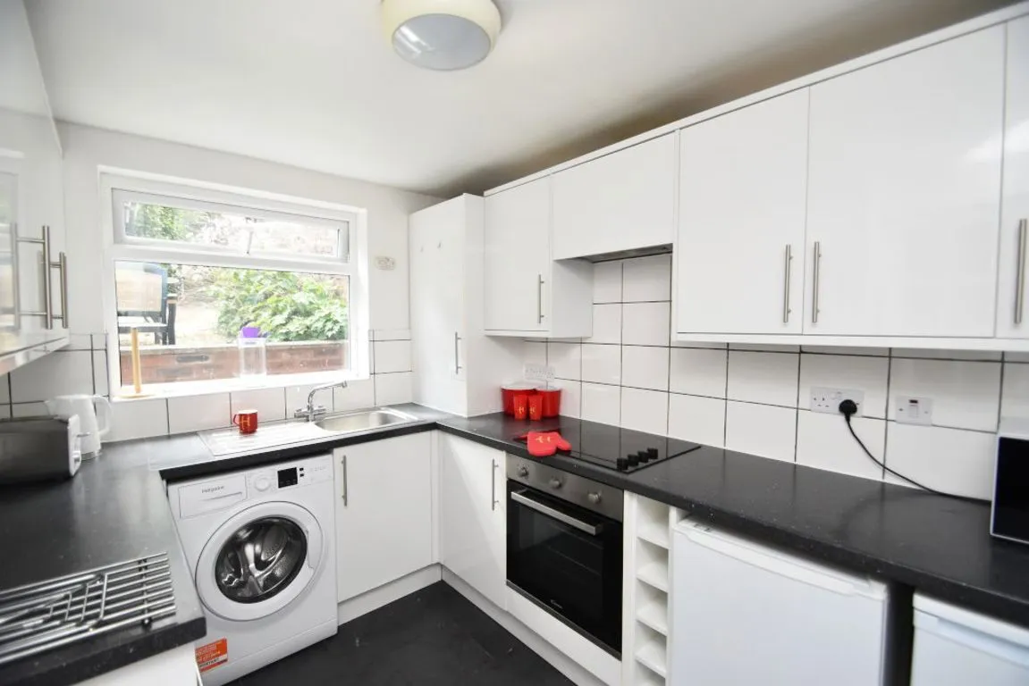 Hawthorn Terrace, DH1, photo 3