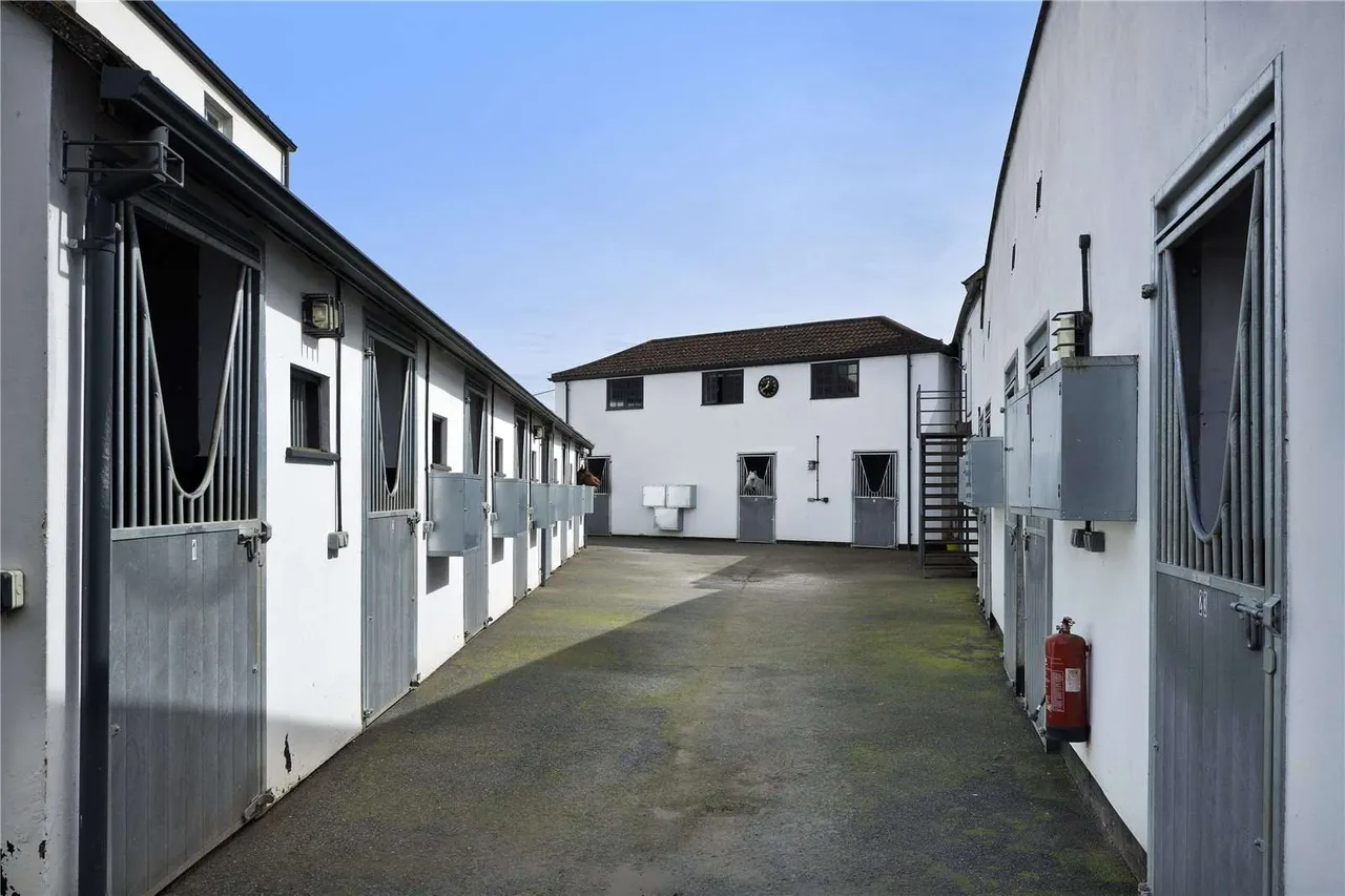 Sackville House, Sackville Street, Newmarket, Suffolk, CB8 8DX, photo 11