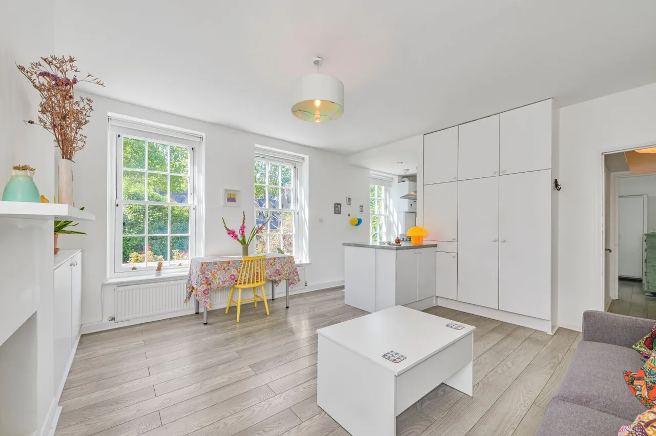 Ferndale Road, Brixton, London, SW9, photo 8