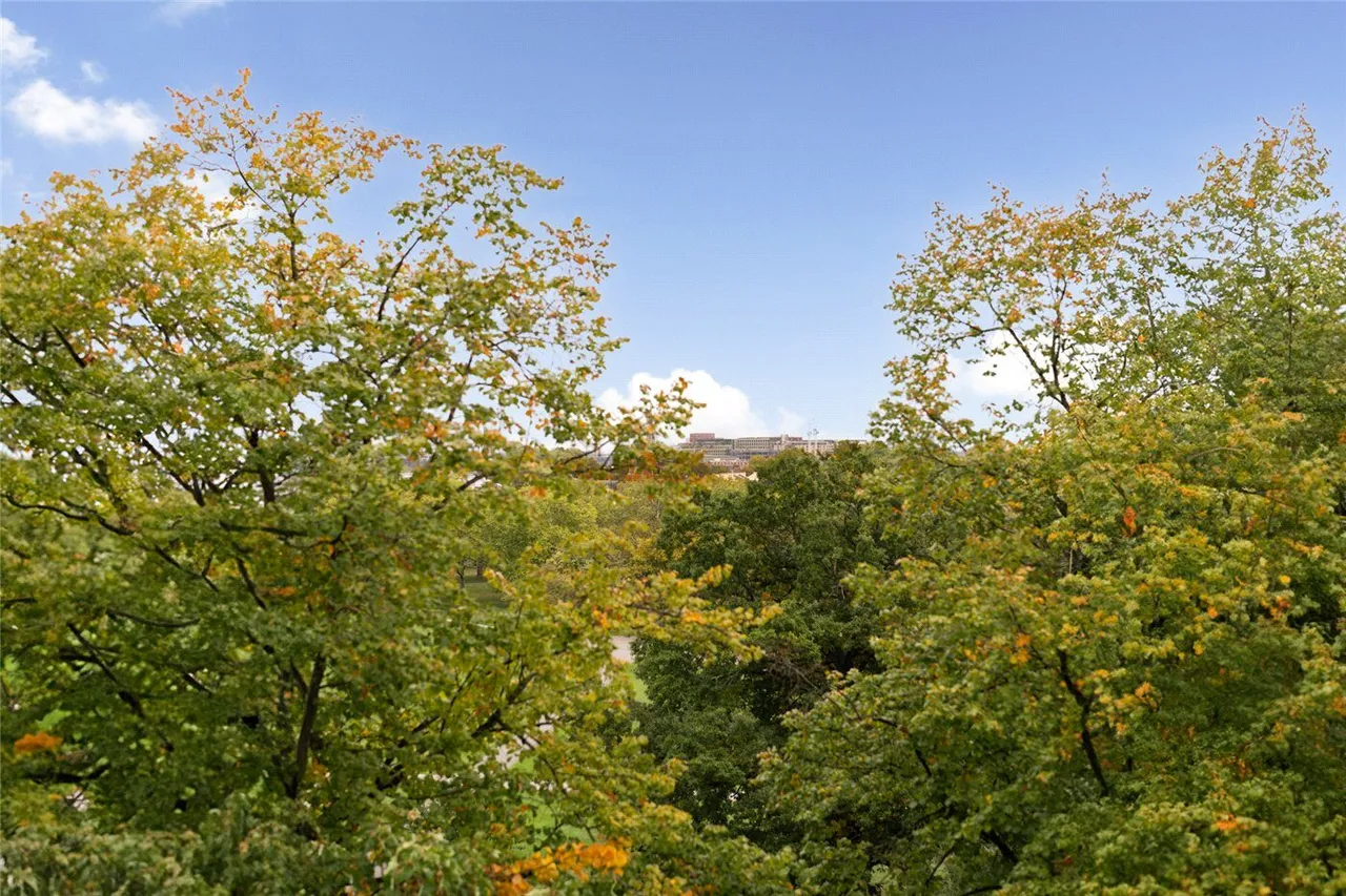 Ormonde Terrace, St John's Wood, NW8, photo 9