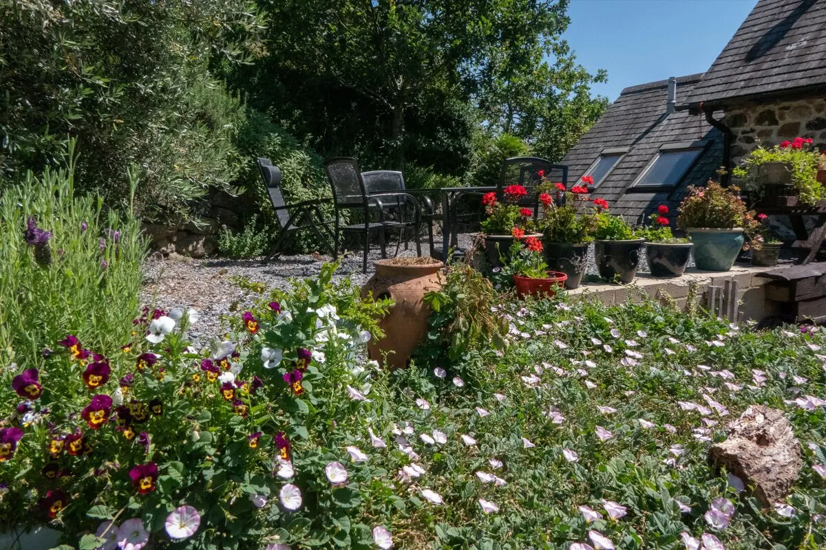 Bovey Tracey, Newton Abbot, TQ13, photo 28
