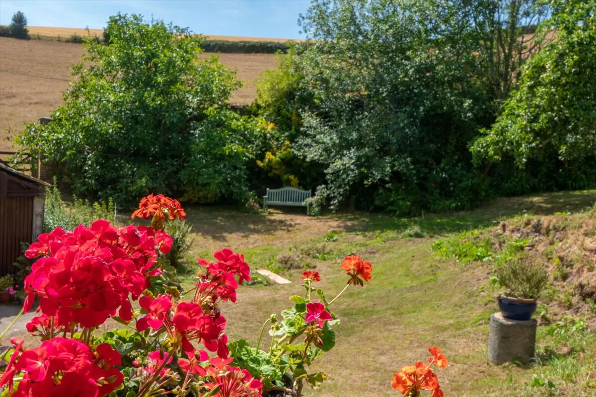Bovey Tracey, Newton Abbot, TQ13, photo 27