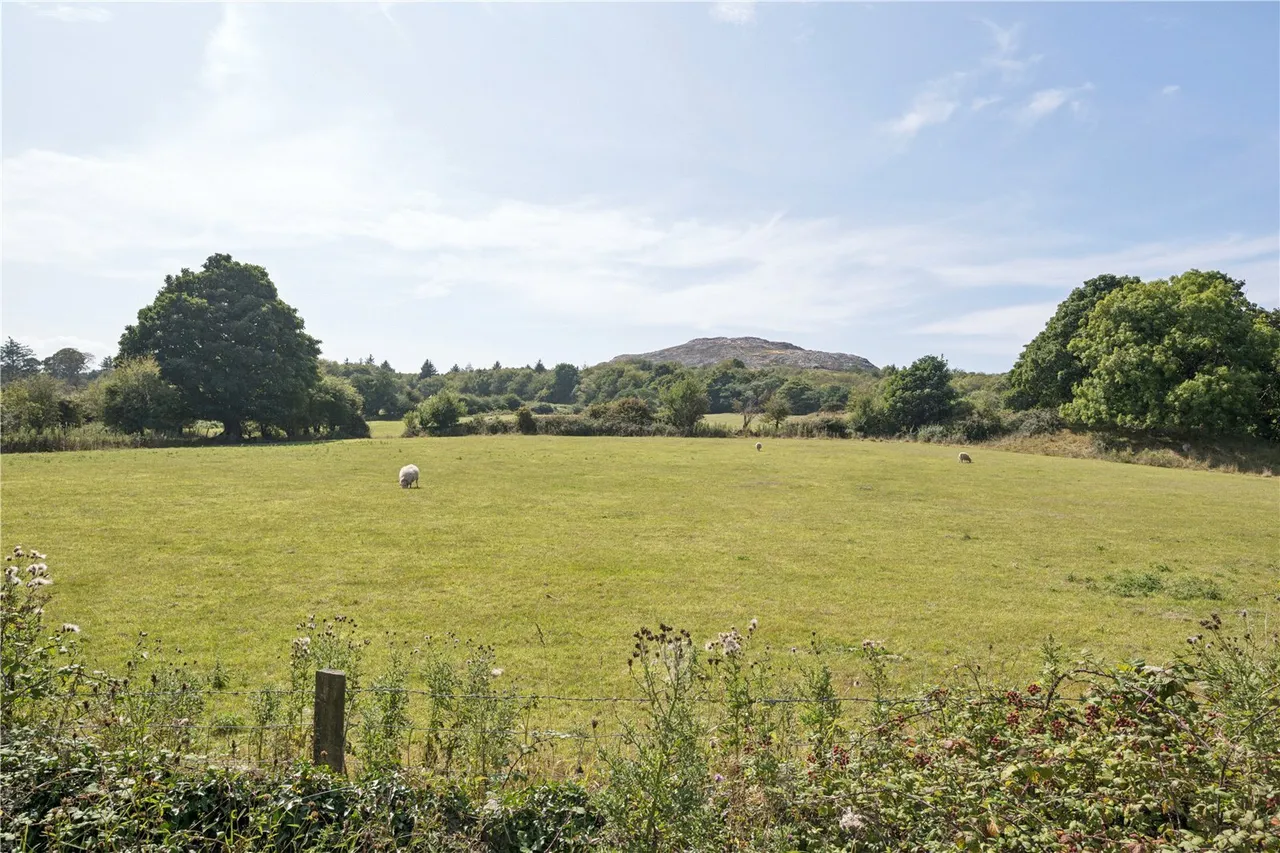 Mynydd Bodafon, Llannerch-y-Medd, LL71, photo 18