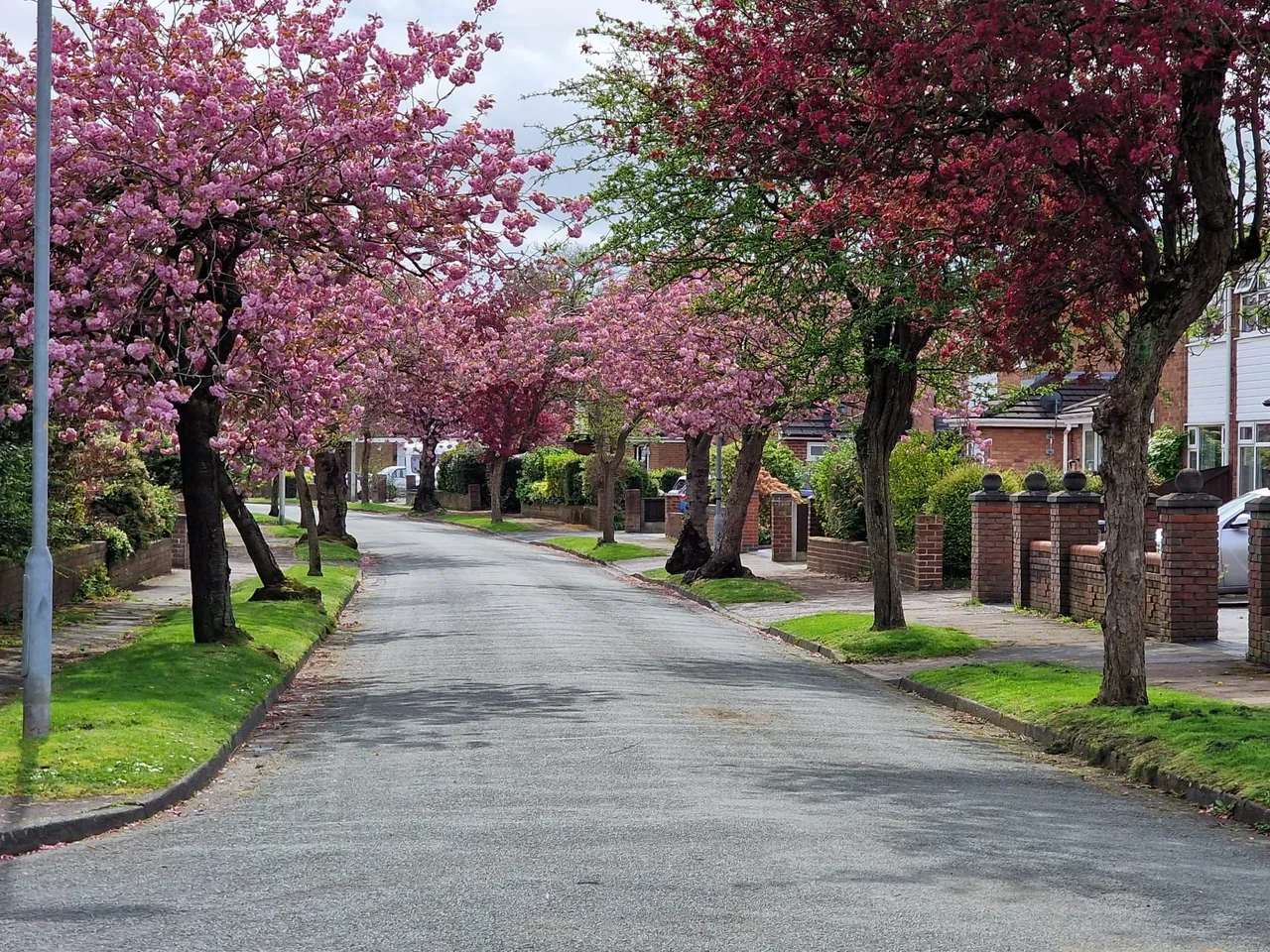 Clarence Avenue, Widnes, Widnes, WA8 9EL, photo 24