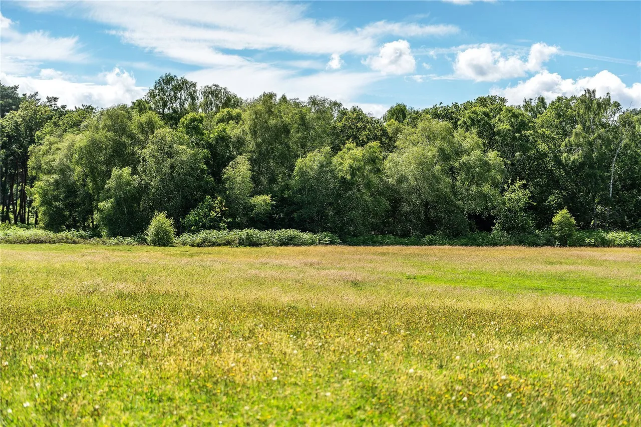 Flanchford Road, Reigate, RH2, photo 20