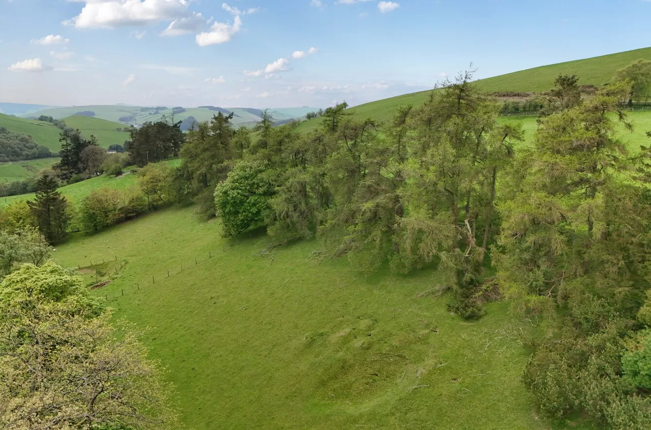 Llidiartywaun, Llanidloes, photo 26