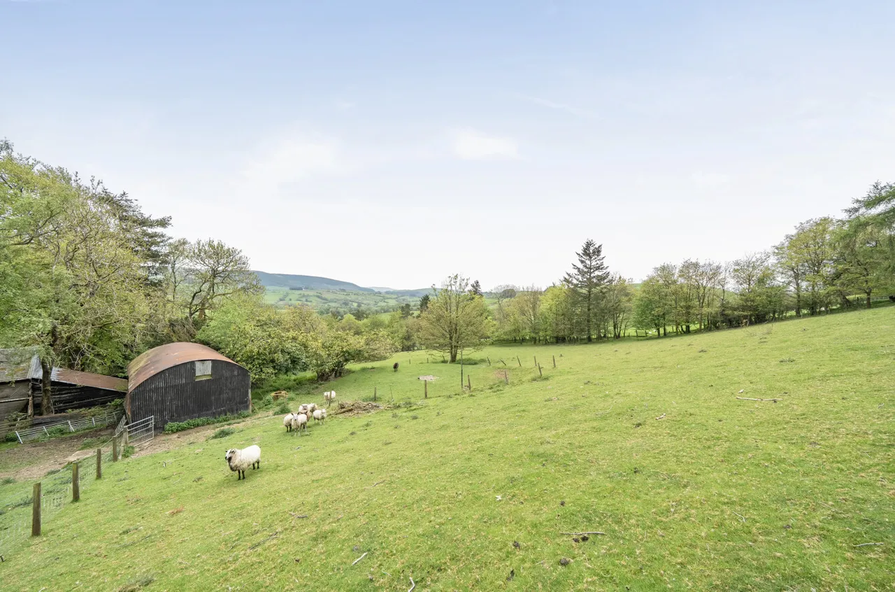 Llidiartywaun, Llanidloes, photo 20