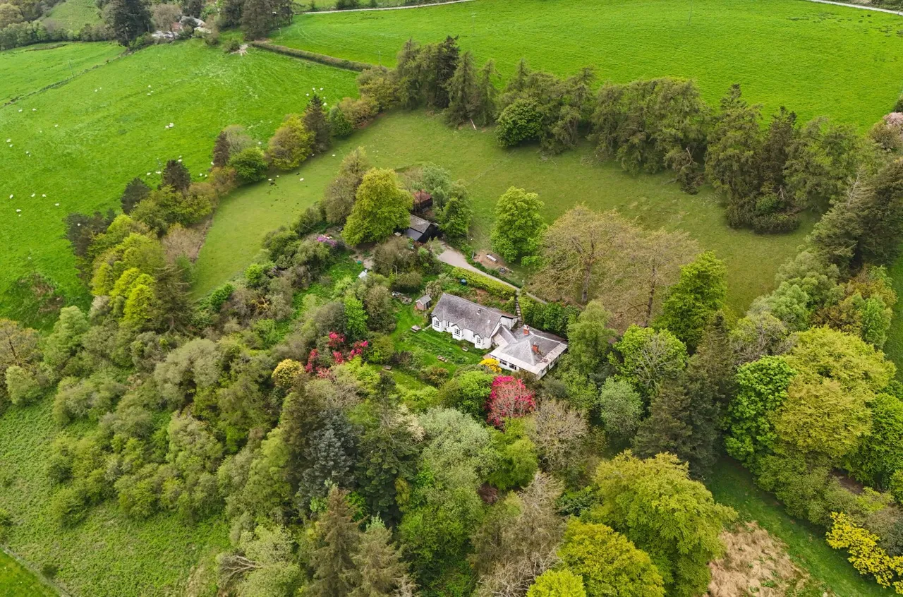 Llidiartywaun, Llanidloes, photo 35