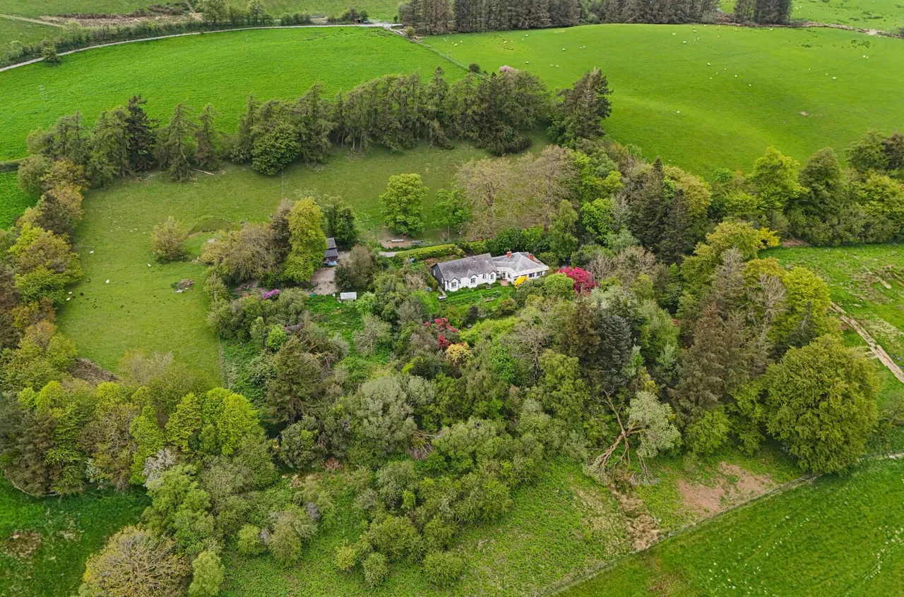 Llidiartywaun, Llanidloes, photo 27