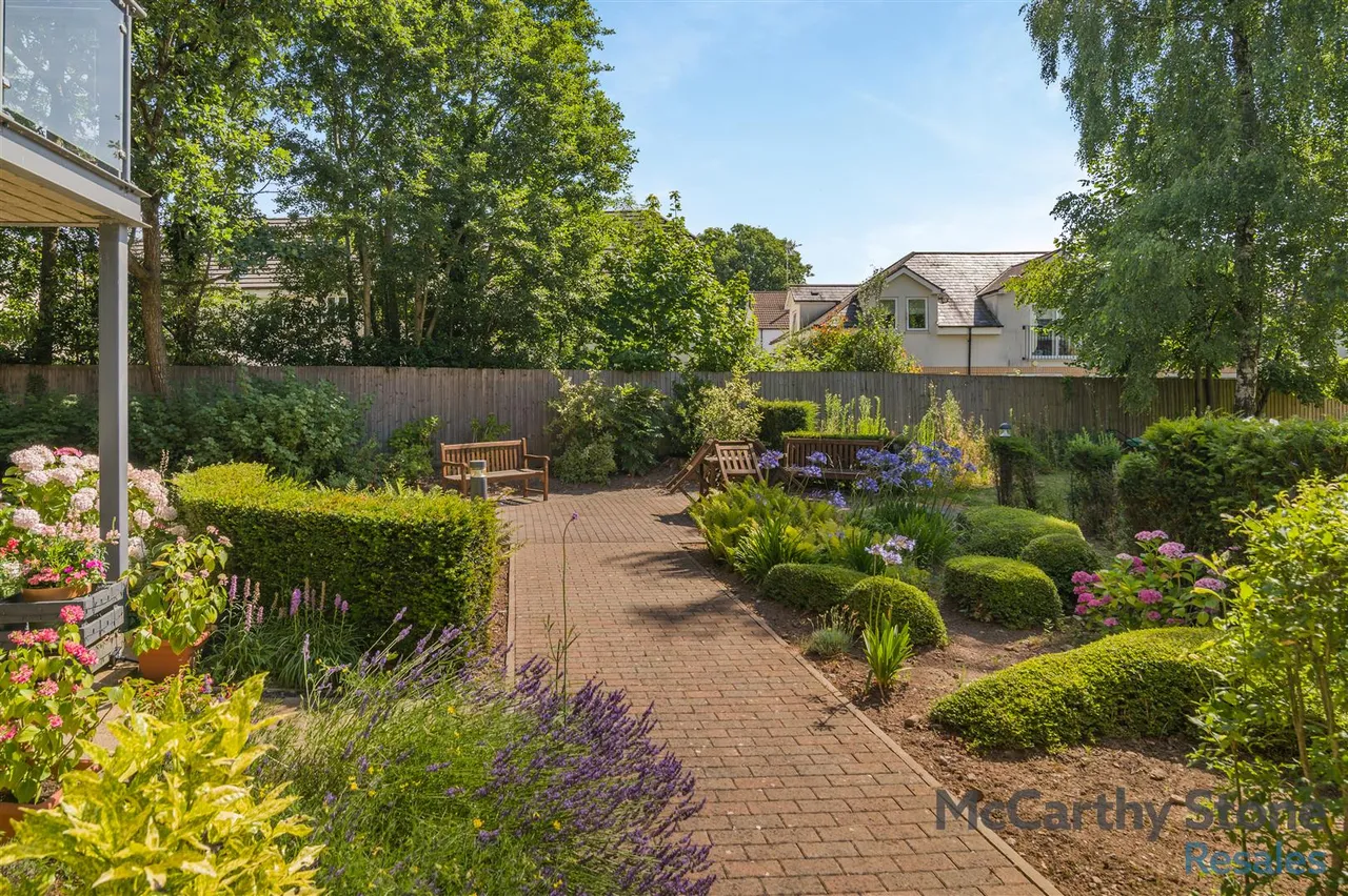 Ilex Close, Llanishen, CF14, photo 19