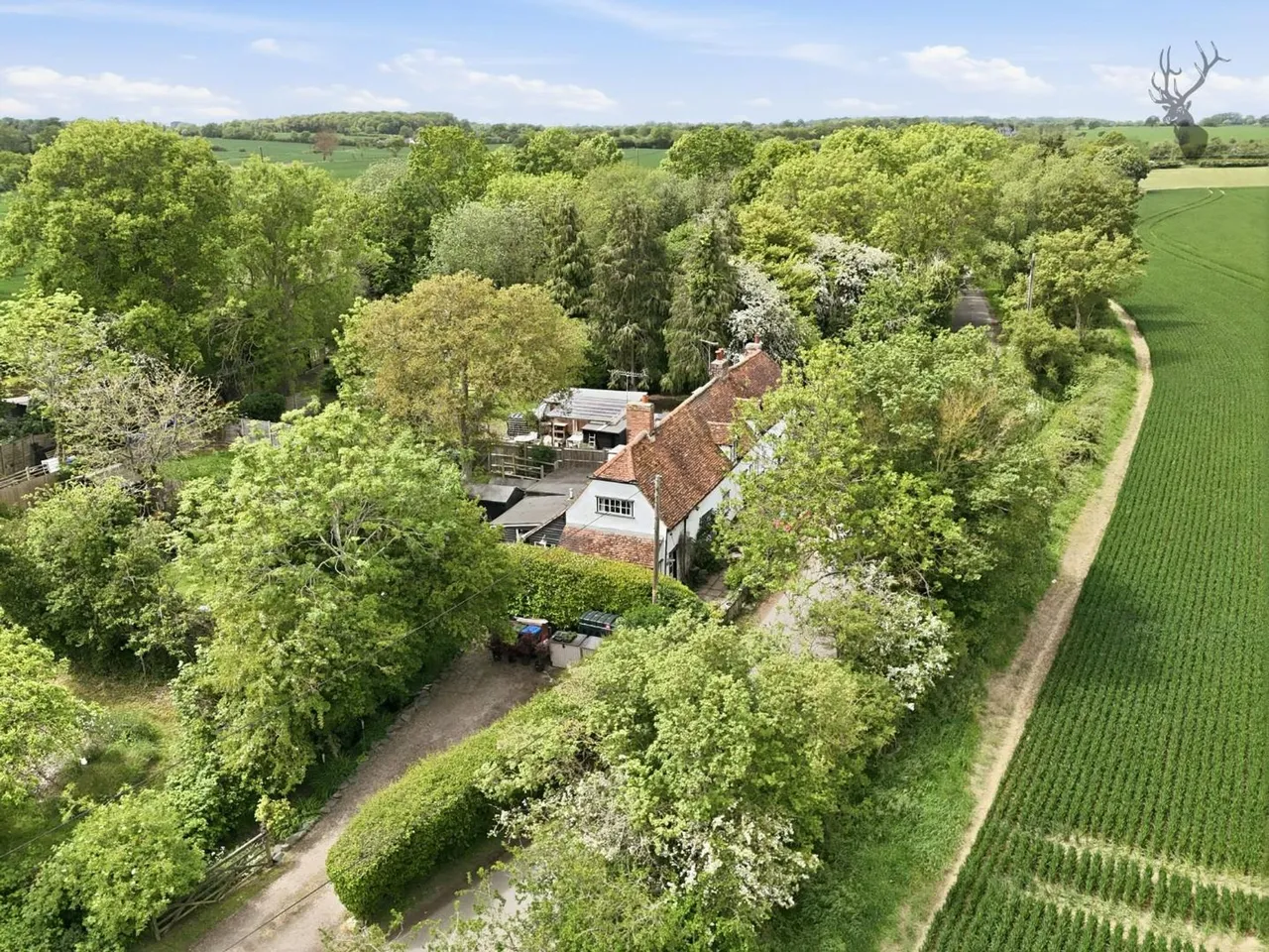 Beauchamp Roding, CM5, photo 25