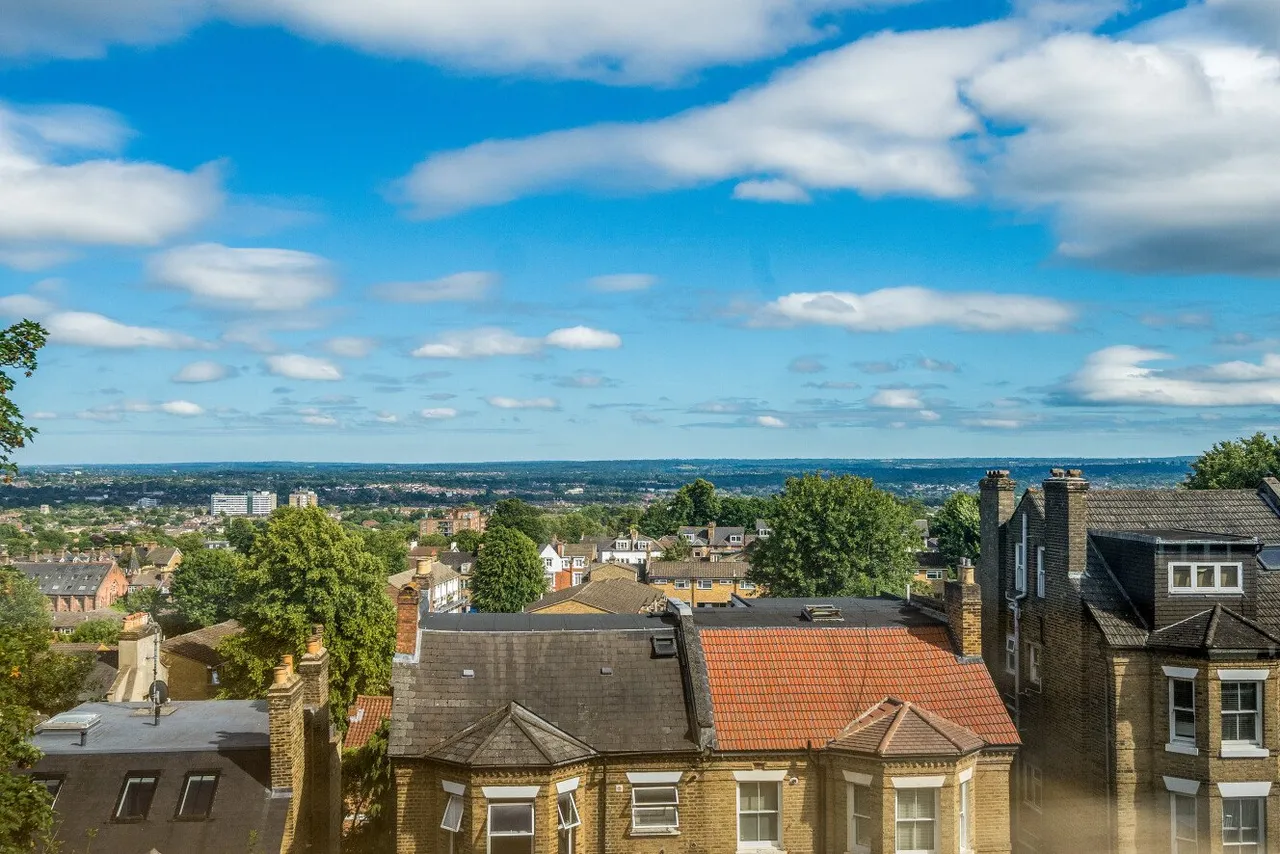 Cintra Park, Crystal Palace, London, SE19, photo 4