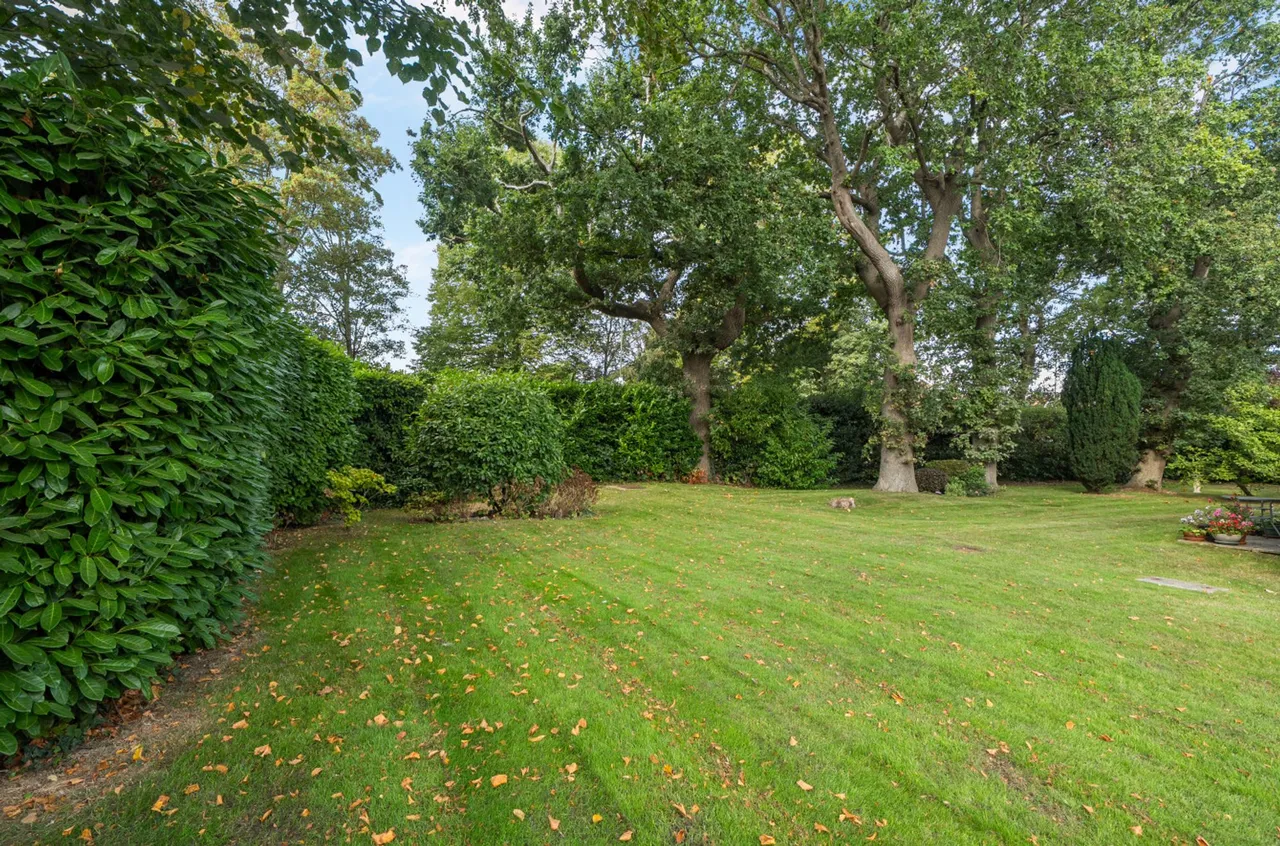 The Avenue, PO19, photo 17