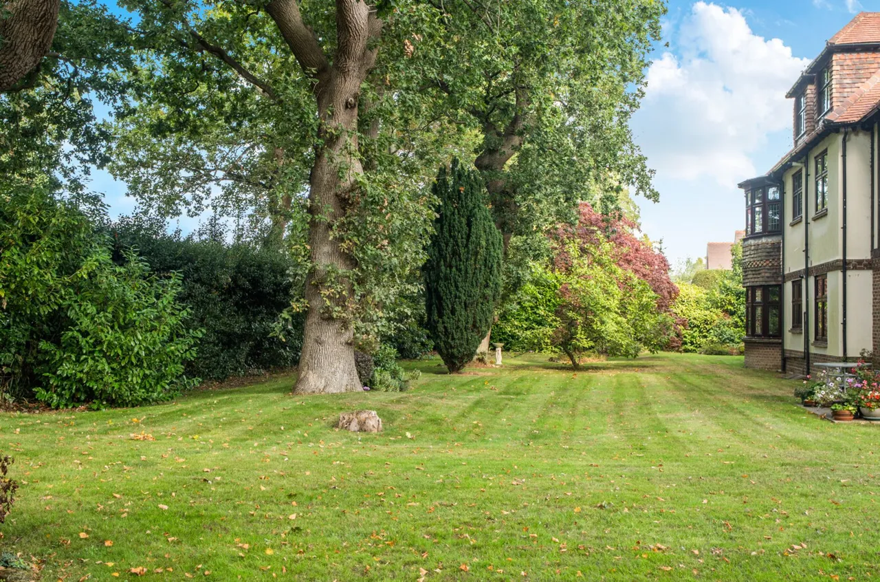The Avenue, PO19, photo 16