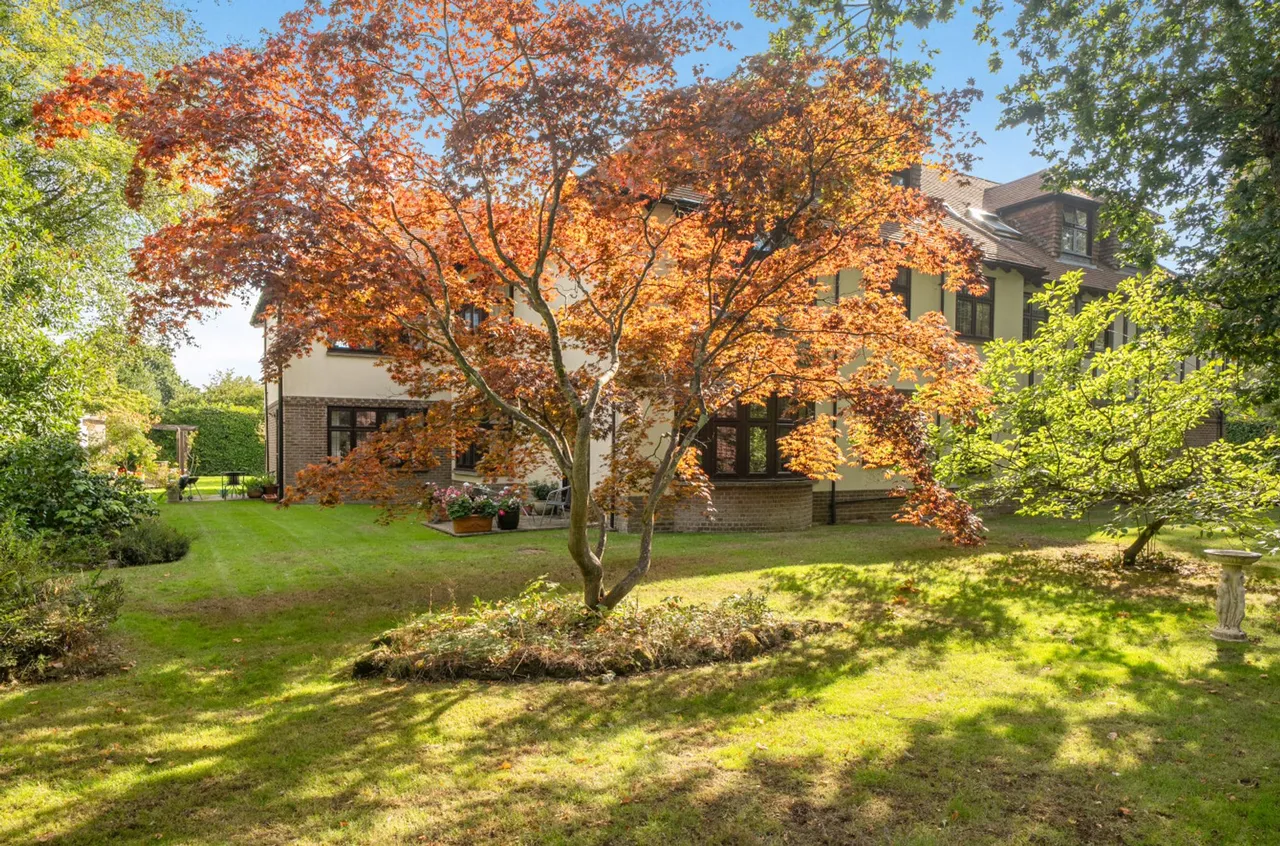 The Avenue, PO19, photo 18