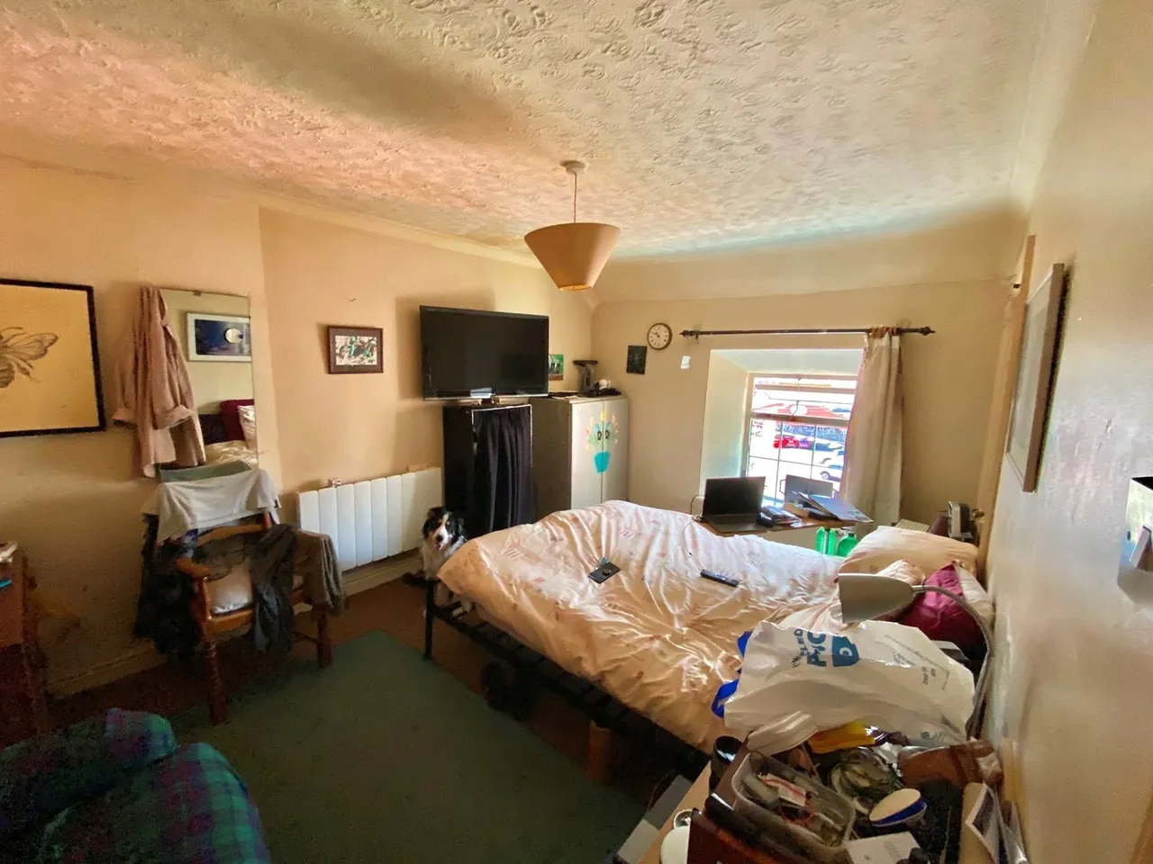 Priory Street, Aberteifi, SA43, photo 17
