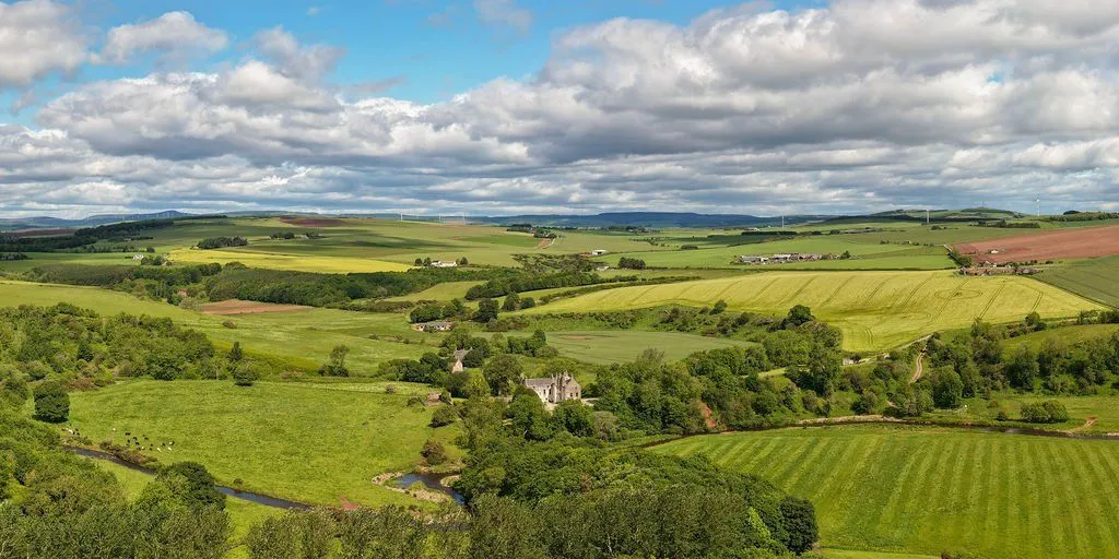Inverbervie, Montrose, Angus, DD10 0ST, photo 7