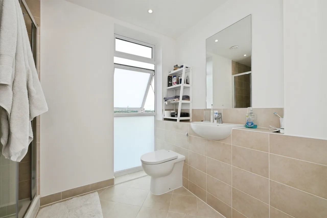 Wych Elm, Harlow, photo 12