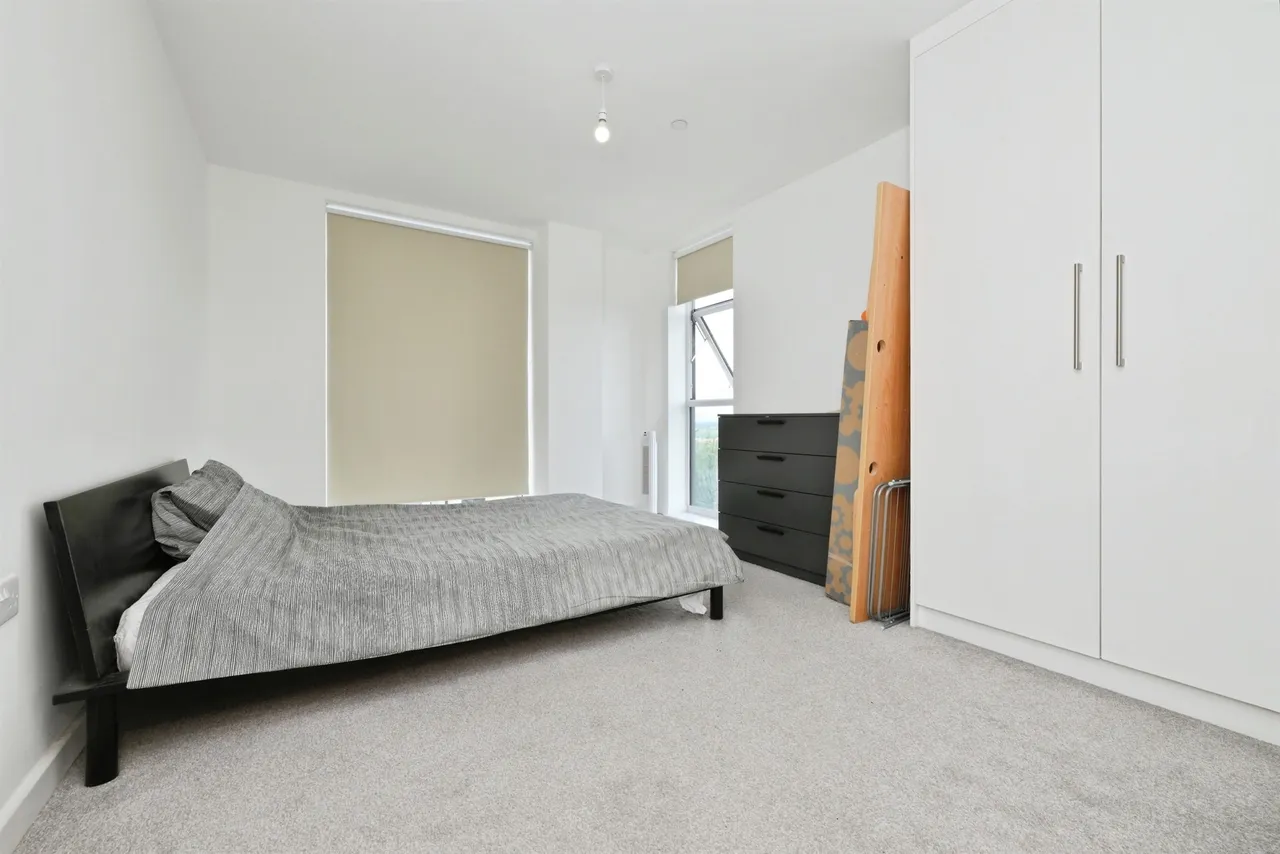Wych Elm, Harlow, photo 10