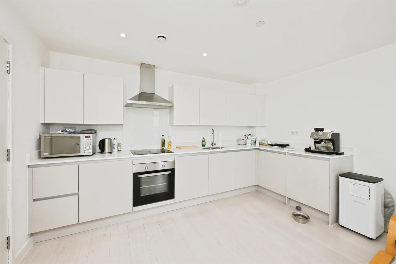 Wych Elm, Harlow, photo 6