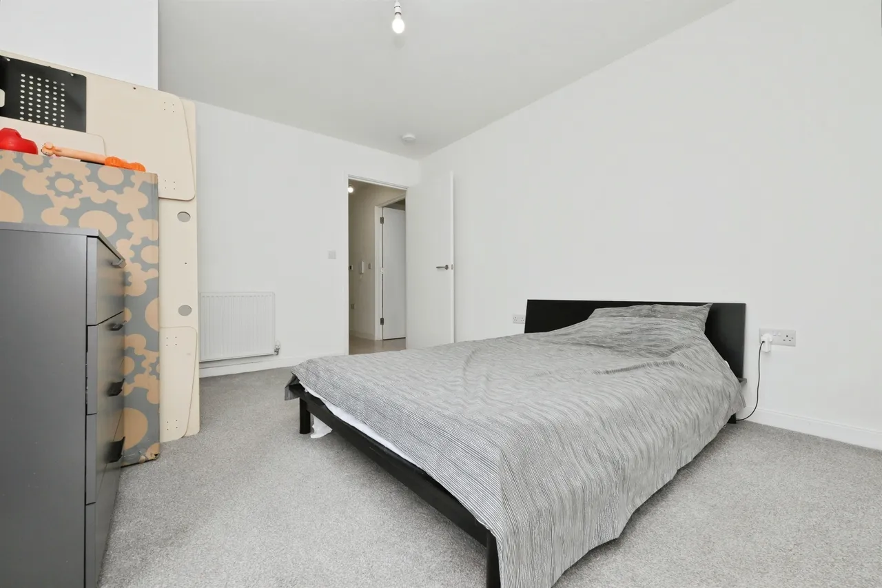 Wych Elm, Harlow, photo 11