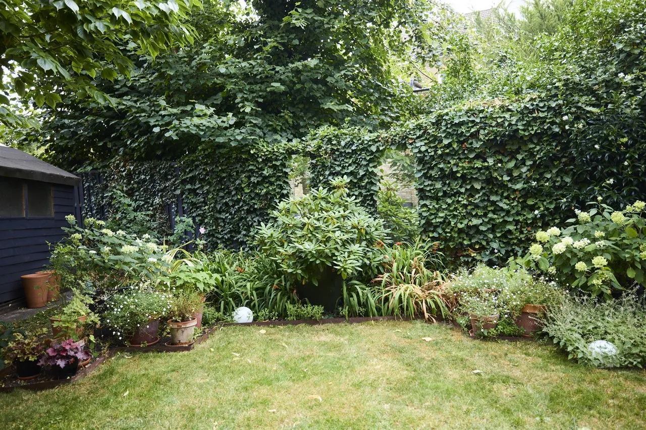 Essex Mews, Crystal Palace, SE19, photo 10