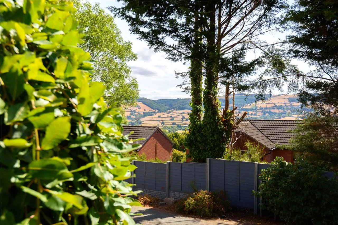 Gungrog Hill, Welshpool, Powys, SY21 7UL, photo 33