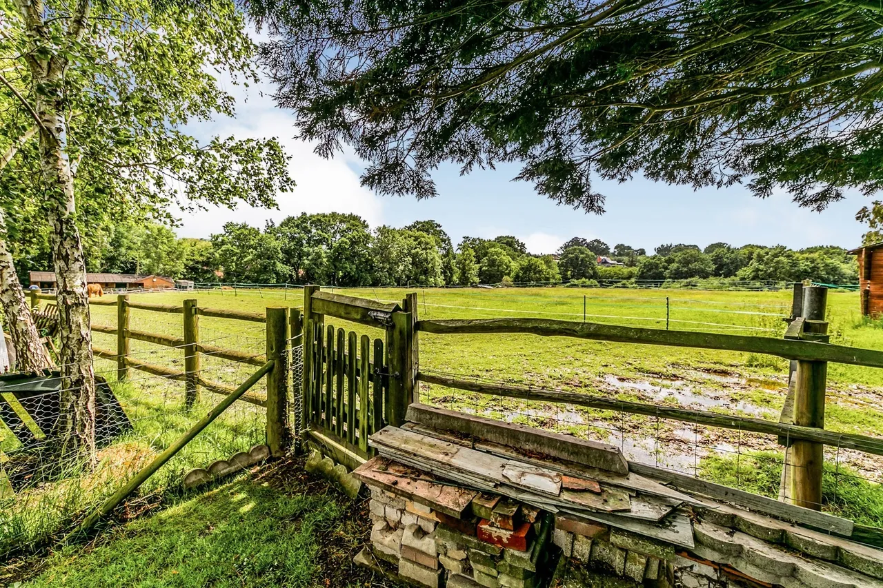 Main Street, Peasmarsh, TN31, photo 14